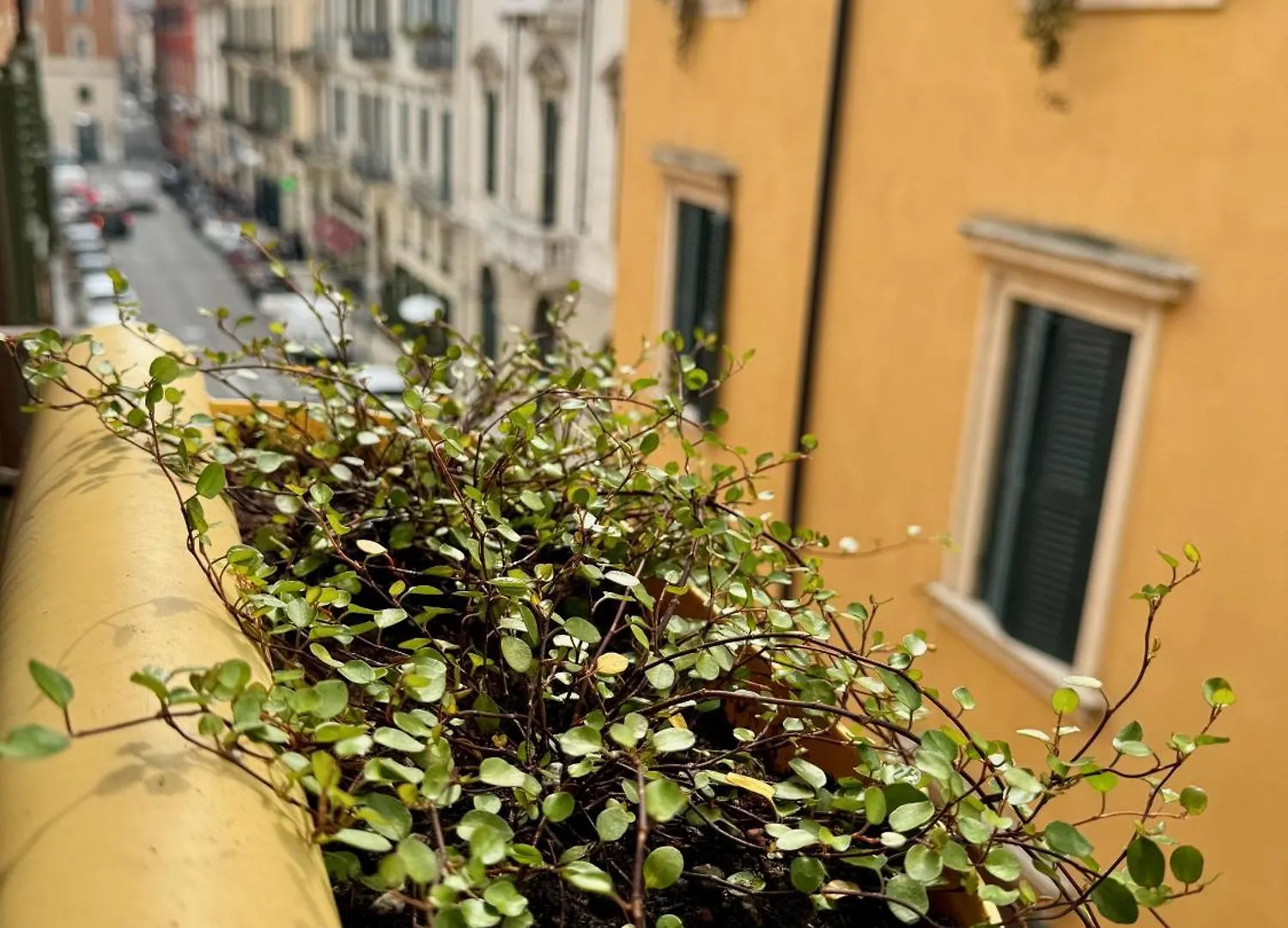Apartamento Domus Suites Verona