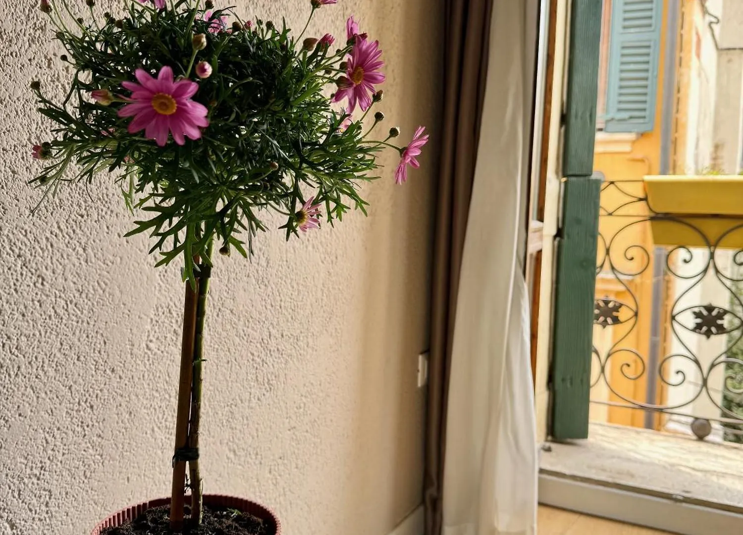 Apartment Domus Suites Verona Italy